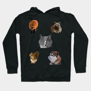 cute animals, Cat,Dog ,Squirrel, Fox and Raccoon Hoodie